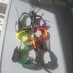 2 centrales + 6 colliers sport dog Tek2 + antenne de toit