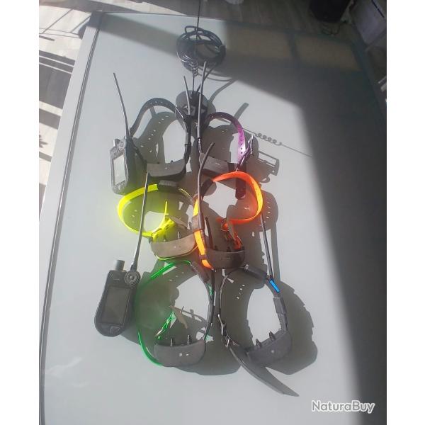 2 centrales + 6 colliers sport dog Tek2 + antenne de toit