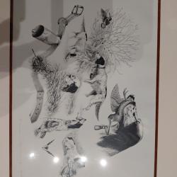 Lithographie setter et bécasse-pierre roussia