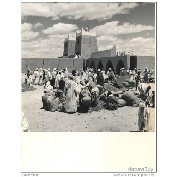 Tr�s belle photo v�ritable.18x24. Un bordj.Sud-marocain? Mauritanie ?.R�colte des dattes octobre 57+