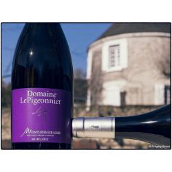 2025 - MONTLOUIS SUR LOIRE - CHENIN MOELLEUX - 6 BOUTEILLES