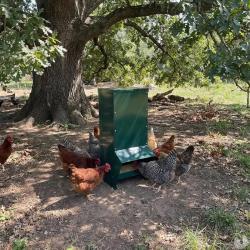 Mangeoire tr&eacute;mie galvanis&eacute;e verte anti gaspillage 15 kg