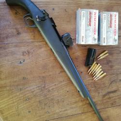 Remington 783 243win