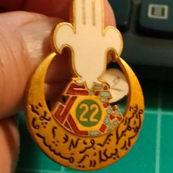 INSIGNE 22ème REGIMENT DE TIRAILLEURS ALGERIENS, 22EME RTA DRAGO PARIS (2)