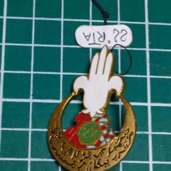 INSIGNE 22ème REGIMENT DE TIRAILLEURS ALGERIENS, 22EME RTA DRAGO PARIS (4)