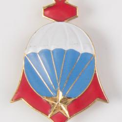 Insigne Indochine Section de Recherche de la BA 191 refrappe