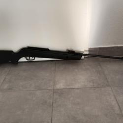 Carabine air comprimé GAMO, BIG CAT1000 EB - IGT. Neuve , m'avait été offerte mais n'a servi qu'1 f