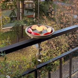 Coupelle 4 Saisons pour Oiseaux - Abreuvoir &Eacute;t&eacute; ; Coupelle Hiver Compatible Support Universel Balcon