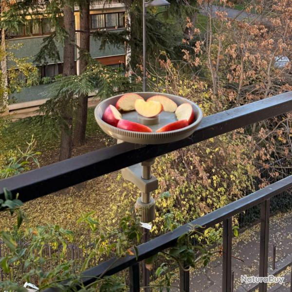 Coupelle 4 Saisons pour Oiseaux - Abreuvoir �t� ; Coupelle Hiver Compatible Support Universel Balcon