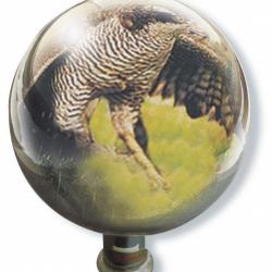 Boule miroir anti rapaces