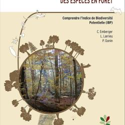 Dix facteurs cl&eacute;s pour la diversit&eacute; des esp&egrave;ces en for&ecirc;t