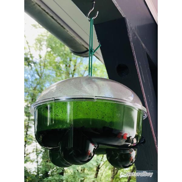 Pi�ge � gu�pes et frelons