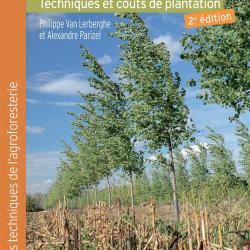 Le peuplier agroforestier, techniques et co&ucirc;ts de plantation