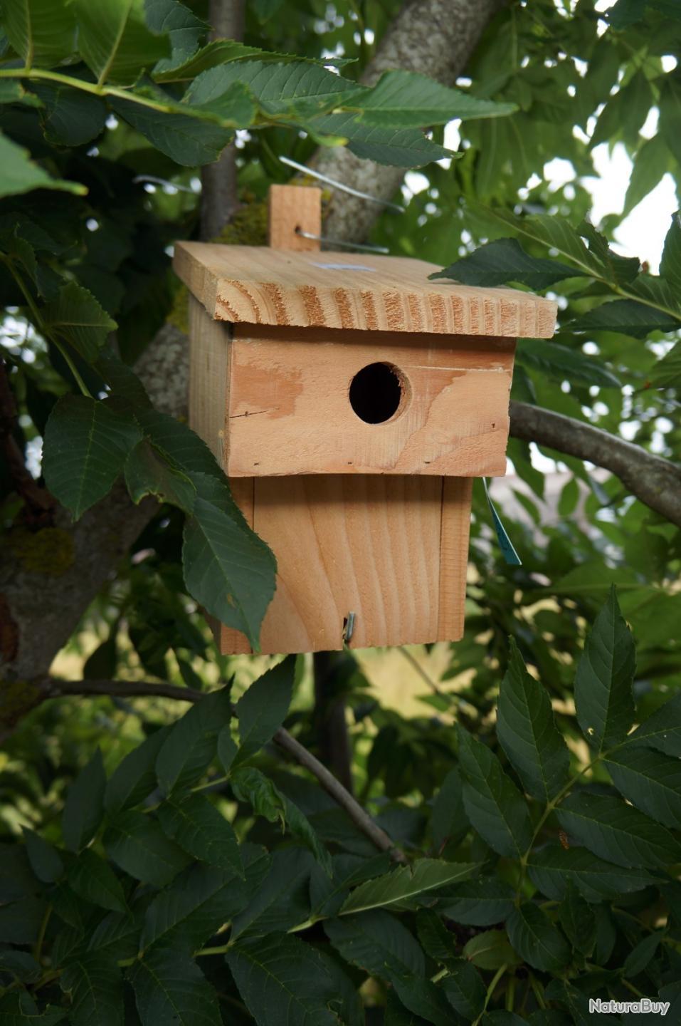Nichoir En Pin Pour Petites Mésanges (trou D'entrée 28mm) - Dimensions 12x11,8x23,8cm - Protection Des Oiseaux Du Jardin