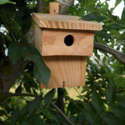 Nichoir Balcon m&eacute;sanges 28mm