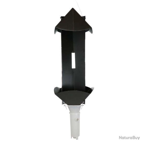 Pi�ge � scolytes WP