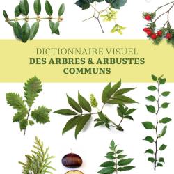 Dictionnaire visuel des arbres et arbustes communs