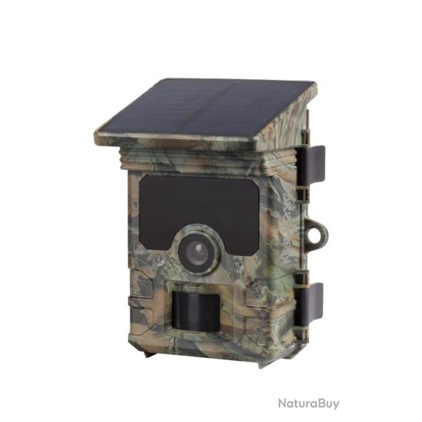 Pige photographique 1060