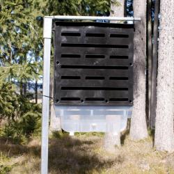 Pi&egrave;ge &agrave; scolytes MW