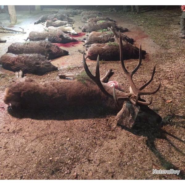 Chasse � la journ�e