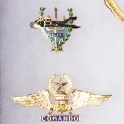 Lot de 2 insignes des Forces Spéciales du Venezuela