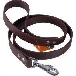 LAISSE BIOTHANE 1.20M ASTRO LE CHIEN