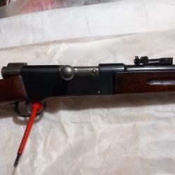 Carabine 22lr cat D tr&egrave;s bon &eacute;tat