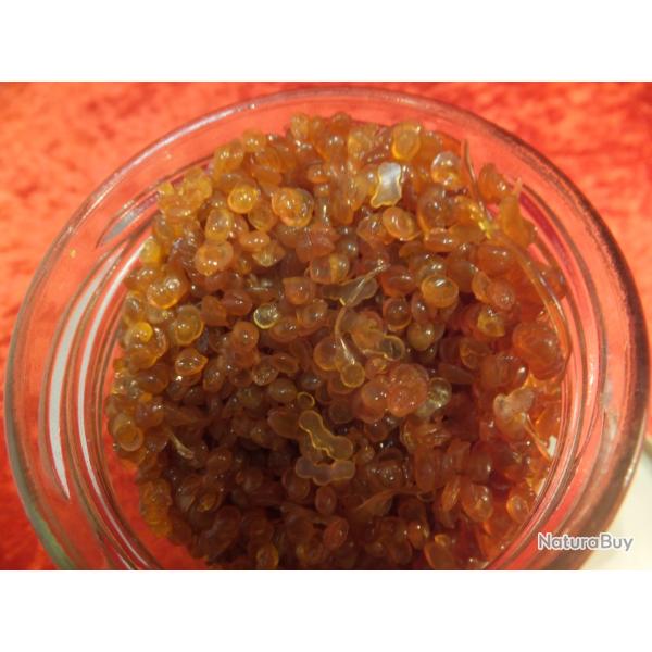 Colle  D'os : Os  ou   dite de   peaux de lapin, des �b�nistes,                                  (b)