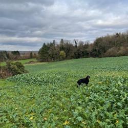 RECHERCHE ACTIONNAIRES 77