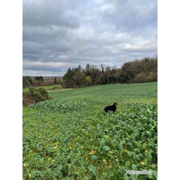 RECHERCHE ACTIONNAIRES 77