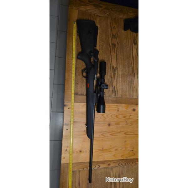 carabine beretta br1x