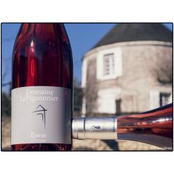 2023 - VIN DE FRANCE - ROSE SEC - 24 BOUTEILLES