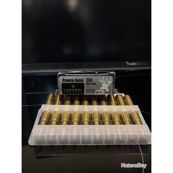 20 balles fdral 300win mag