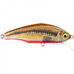 Poisson nageur SMITH D Incite 44 V3