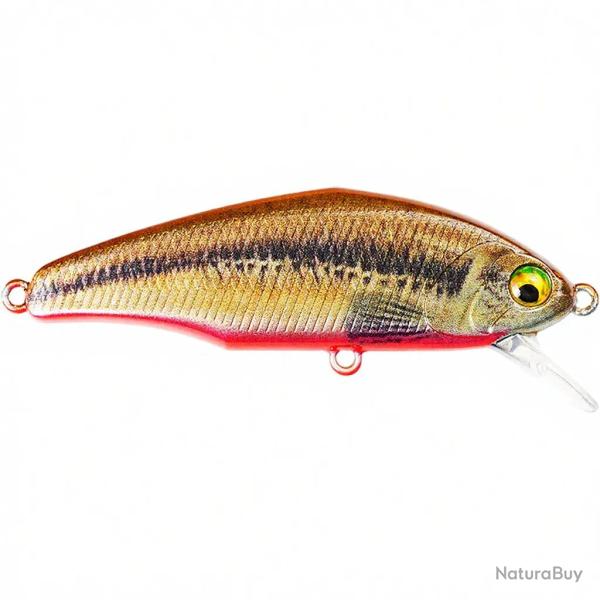 Poisson nageur SMITH D Incite 44 V3