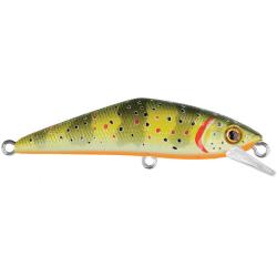 Poisson nageur SMITH D Contact 63 T1 Ventre orange