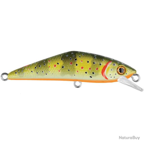 Poisson nageur SMITH D Contact 63 T1 Ventre orange