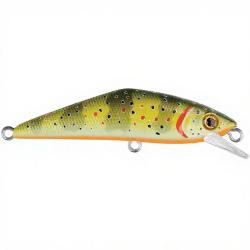 Poisson nageur SMITH D Contact 72 T1 Ventre orange