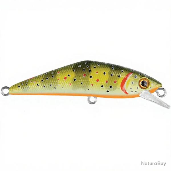 Poisson nageur SMITH D Contact 72 T1 Ventre orange