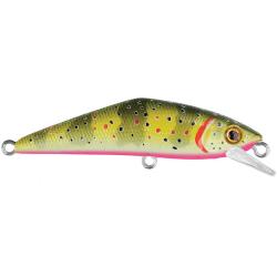 Poisson nageur SMITH D Contact 72 T1 Ventre rose