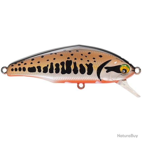 Poisson nageur SMITH D Incite 64 V2