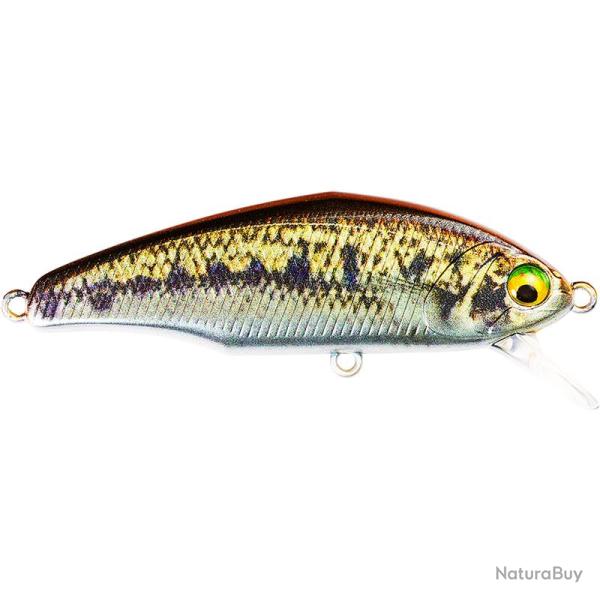Poisson nageur SMITH D Incite 53 V4