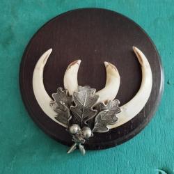 SUR ECUSSON BOIS 14CM TROPHEE DEFENSES GRES DE SANGLIER