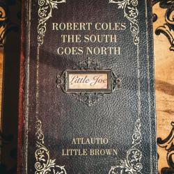 Incroyable mini puppy 5.5mm NEUF ! AVEC COFFRET FAUX LIVRE !