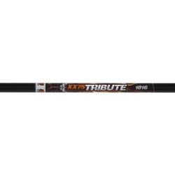 12 Fl&egrave;ches XX75 Tribute Easton 1416