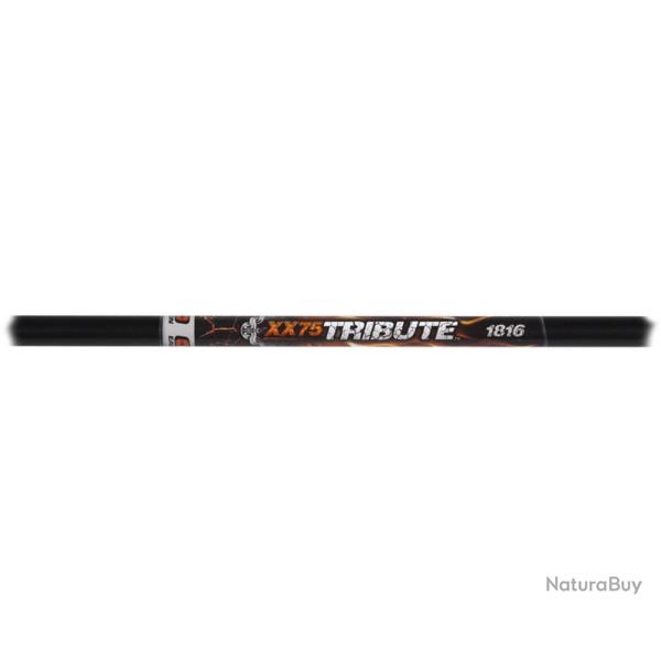 12 Fl�ches XX75 Tribute Easton 2016