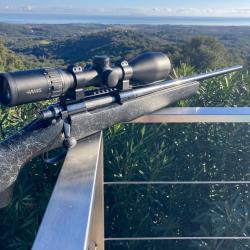 Remington 700 300WM