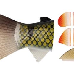 QUEUE BBZ 60 WICKED PERCH