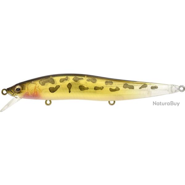 VISION 110 LBO SW - GG GOBIE (SP-C)