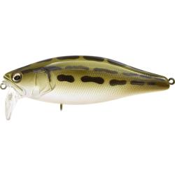 I JACK - FRENCH FROG (SP-C)